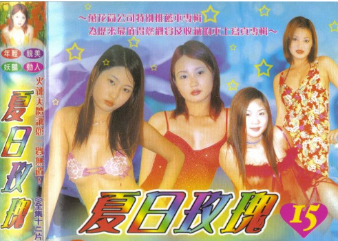 蓬萊仙山寫(xiě)真-夏日玫瑰 第八集