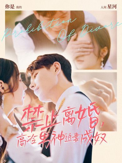 禁止離婚，高冷男神追妻成奴(全集)