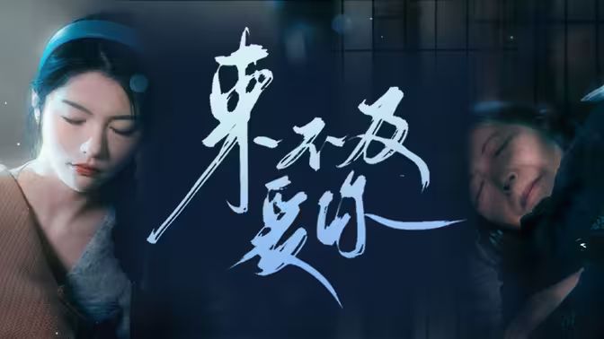 來(lái)不及愛(ài)你(全集)