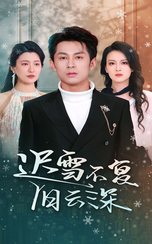 遲雪不復(fù)舊云深（當(dāng)年明月，負(fù)盡深雪）(全集)