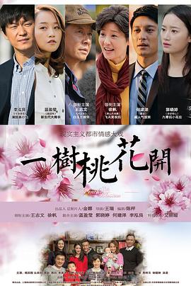 一樹桃花開王志文版 第01集
