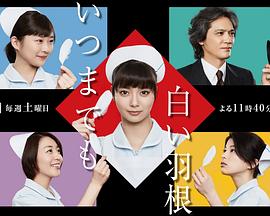 永遠的白羽毛 第01集