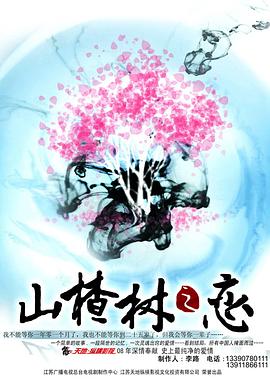 山楂樹之戀2011 第01集
