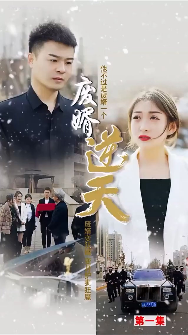 廢婿逆天合集版 第01集(大結(jié)局)